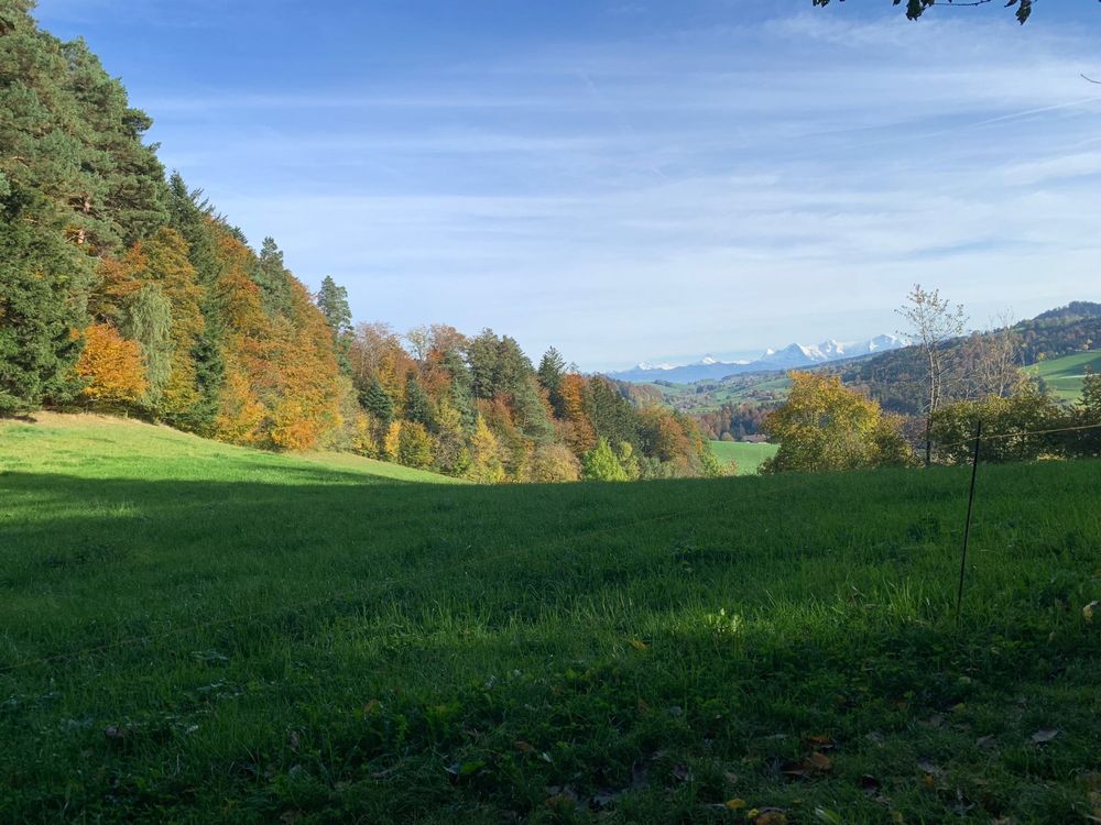 Stunning Swiss Alps Landscape Photo Print 1