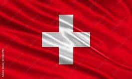 [Swiss] Auction+B / 2 Price below 1500.– / Pickup + Parcel