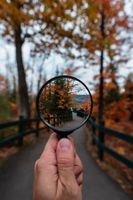 Herbstfoto, Lupe, Waldweg, einzigartig